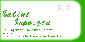 balint kaposzta business card
